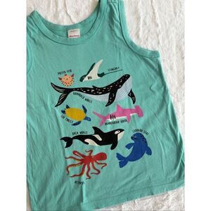 Hanna Andersson Shirt Size 10